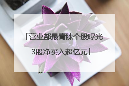 营业部最青睐个股曝光 3股净买入超亿元