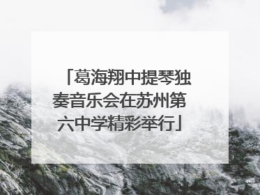 葛海翔中提琴独奏音乐会在苏州第六中学精彩举行