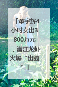 董宇辉4小时卖出3800万元，潜江龙虾火爆“出圈”