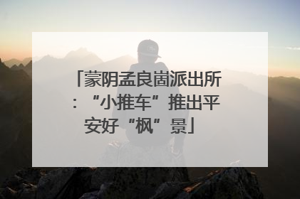 蒙阴孟良崮派出所：“小推车”推出平安好“枫”景