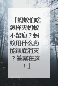 蚂蚁怕啥怎样灭蚂蚁不留痕？蚂蚁用什么药能彻底消灭？答案在这！