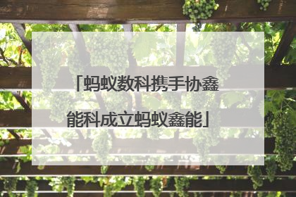 蚂蚁数科携手协鑫能科成立蚂蚁鑫能