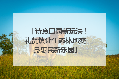 诗意田园新玩法！礼贤镇让生态林地变身惠民新乐园
