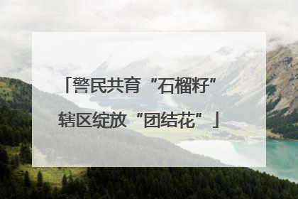 警民共育“石榴籽” 辖区绽放“团结花”