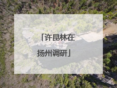 许昆林在扬州调研