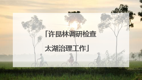 许昆林调研检查太湖治理工作