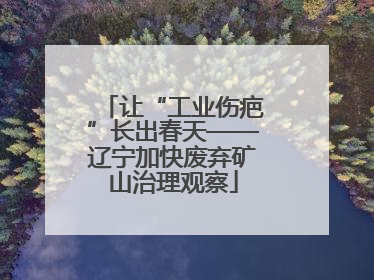 让“工业伤疤”长出春天——辽宁加快废弃矿山治理观察