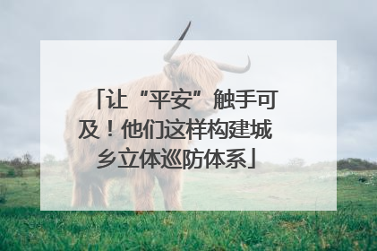 让“平安”触手可及！他们这样构建城乡立体巡防体系