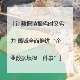 让数据填报省时又省力 禹城全面推进“企业数据填报一件事”