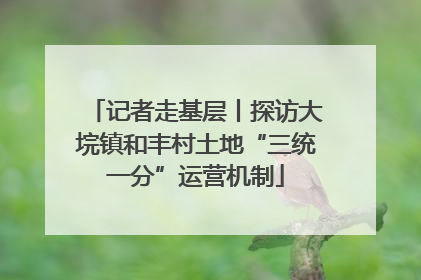 记者走基层丨探访大垸镇和丰村土地“三统一分”运营机制