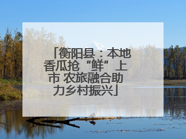 衡阳县：本地香瓜抢“鲜”上市 农旅融合助力乡村振兴