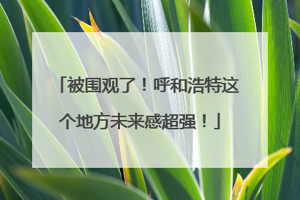 被围观了！呼和浩特这个地方未来感超强！
