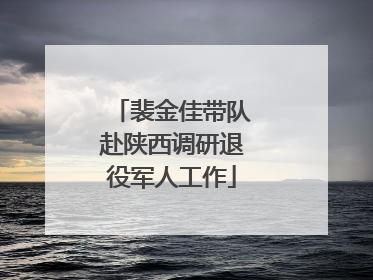 裴金佳带队赴陕西调研退役军人工作