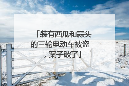 装有西瓜和蒜头的三轮电动车被盗，案子破了