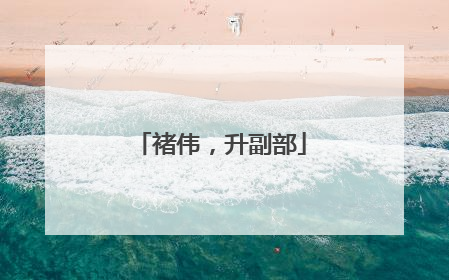 褚伟，升副部