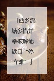 西乡流塘多措并举破解地铁口“停车难”