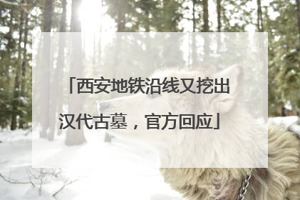 西安地铁沿线又挖出汉代古墓，官方回应