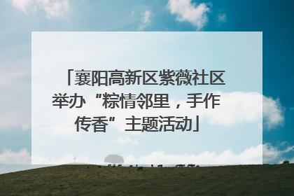襄阳高新区紫薇社区举办“粽情邻里，手作传香”主题活动