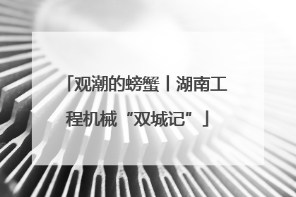 观潮的螃蟹丨湖南工程机械“双城记”
