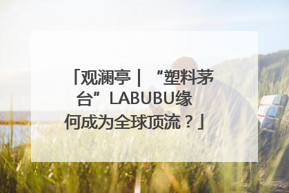 观澜亭｜“塑料茅台”LABUBU缘何成为全球顶流？
