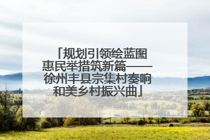 规划引领绘蓝图 惠民举措筑新篇——徐州丰县宗集村奏响和美乡村振兴曲