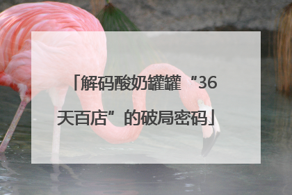 解码酸奶罐罐“36天百店”的破局密码