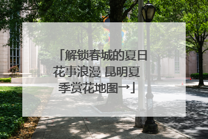 解锁春城的夏日花事浪漫 昆明夏季赏花地图→