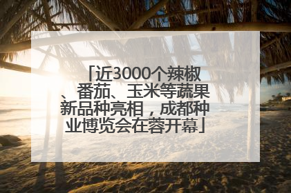 近3000个辣椒、番茄、玉米等蔬果新品种亮相，成都种业博览会在蓉开幕