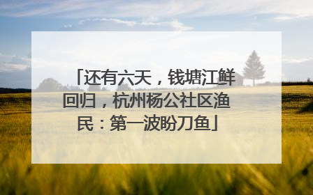 还有六天，钱塘江鲜回归，杭州杨公社区渔民：第一波盼刀鱼