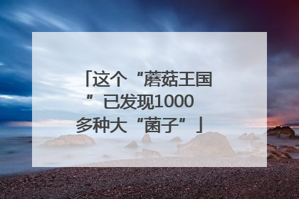 这个“蘑菇王国”已发现1000多种大“菌子”