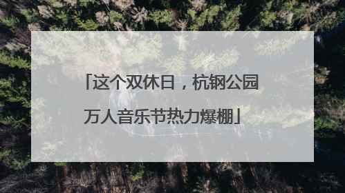 这个双休日，杭钢公园万人音乐节热力爆棚