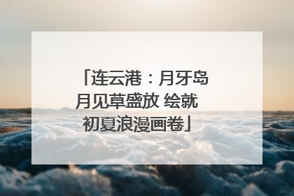 连云港：月牙岛月见草盛放 绘就初夏浪漫画卷
