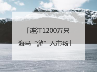 连江1200万只海马“游”入市场
