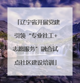 辽宁省开展党建引领“专业社工+志愿服务”融合试点社区建设培训