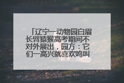 辽宁一动物园白眉长臂猿猴高考期间不对外展出，园方：它们一高兴就喜欢鸣叫，怕影响考试