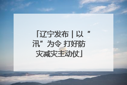 辽宁发布｜以“汛”为令 打好防灾减灾主动仗