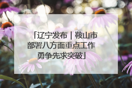 辽宁发布｜鞍山市部署八方面重点工作勇争先求突破