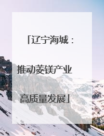 辽宁海城：推动菱镁产业高质量发展