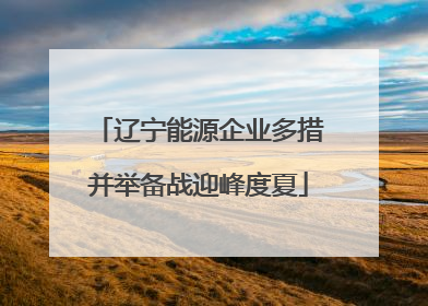 辽宁能源企业多措并举备战迎峰度夏