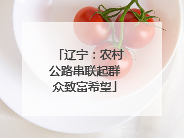 辽宁：农村公路串联起群众致富希望