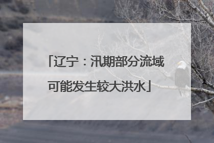 辽宁：汛期部分流域可能发生较大洪水