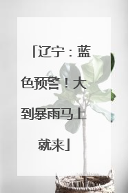 辽宁：蓝色预警！大到暴雨马上就来