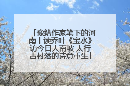 豫籍作家笔下的河南丨读乔叶《宝水》访今日大南坡 太行古村落的诗意重生