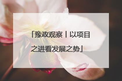 豫政观察丨以项目之进看发展之势