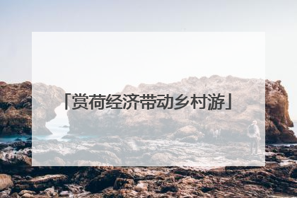 赏荷经济带动乡村游