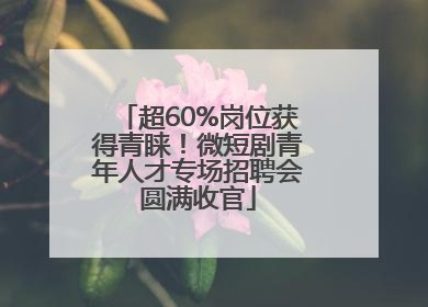 超60%岗位获得青睐！微短剧青年人才专场招聘会圆满收官