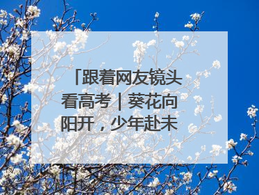 跟着网友镜头看高考｜葵花向阳开，少年赴未来，安乡高考首日的希望图景