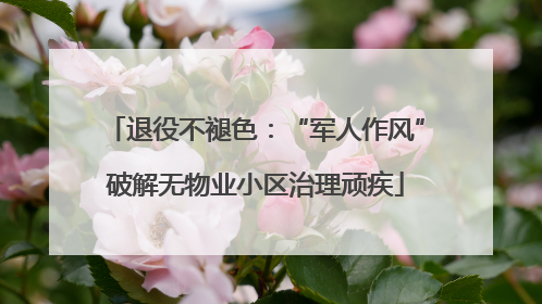 退役不褪色：“军人作风”破解无物业小区治理顽疾