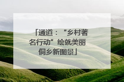 通道：“乡村著名行动”绘就美丽侗乡新图景