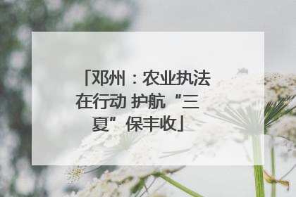 邓州：农业执法在行动 护航“三夏”保丰收